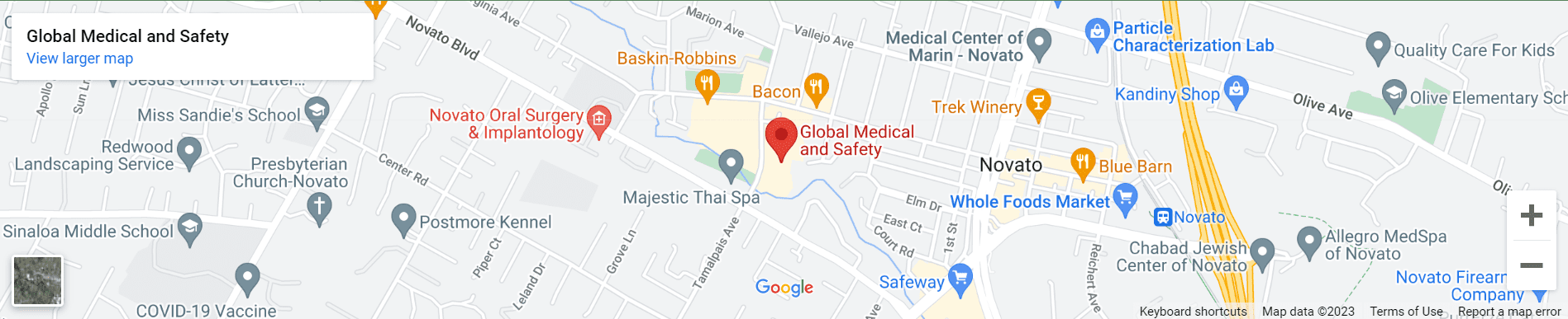 Global Medical + Safety
